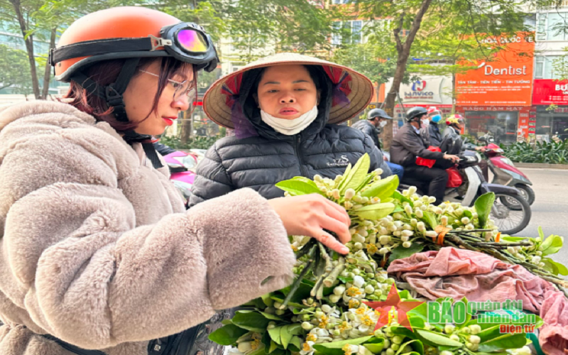 Nồng nàn hương bưởi tháng Ba