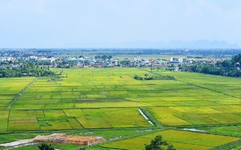 Cần bảo đảm sự thống nhất giữa dự thảo Luật Đất đai (sửa đổi) với Luật Lâm nghiệp