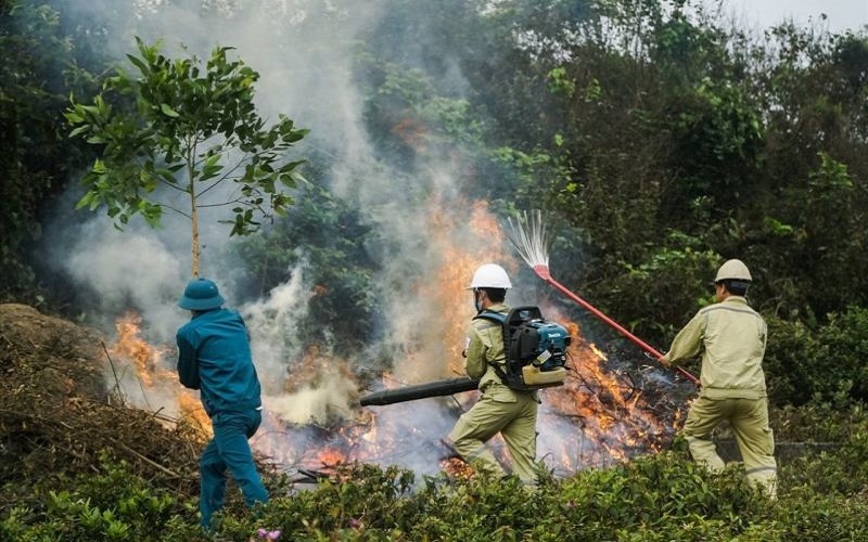 Kon Tum tăng cường kiểm tra công tác phòng cháy chữa cháy rừng, xử lý nghiêm các trường hợp vi phạm