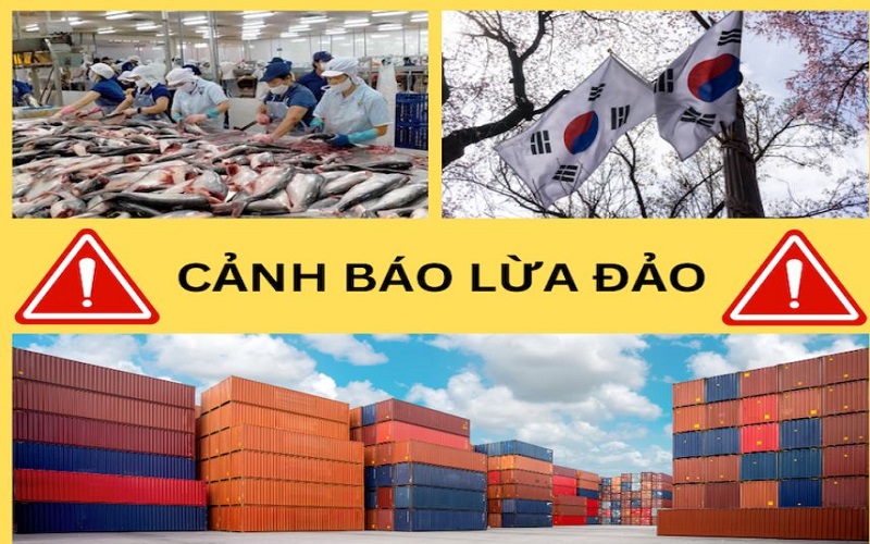 Cảnh báo các hành vi lừa đảo của một số doanh nghiệp xuất khẩu thủy sản Việt Nam sang Hàn Quốc