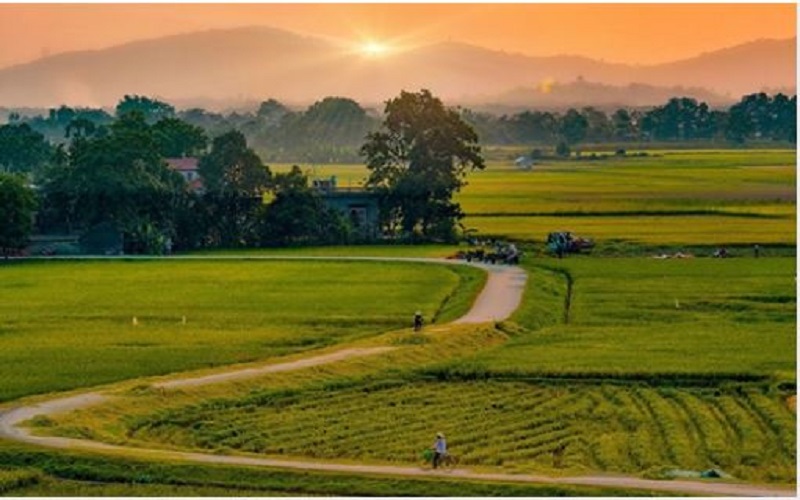 Vô tâm bán cả... đường làng