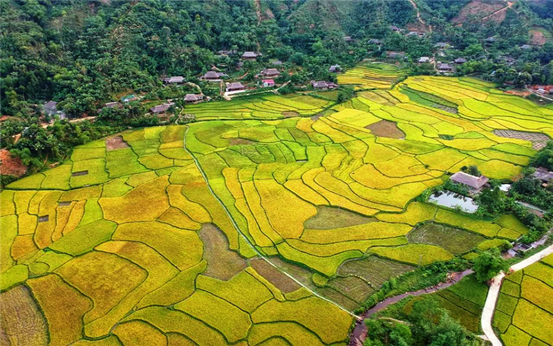 Lào Cai: Tổ chức Ngày hội văn hóa dân gian xã Nghĩa Đô - “Sắc vàng bên dòng Nậm Luông" năm 2023