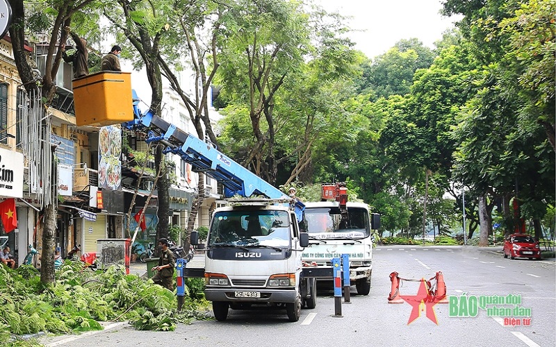 Hà Nội dự kiến cắt tỉa khoảng 348.000 cây xanh trước mùa mưa bão năm 2023