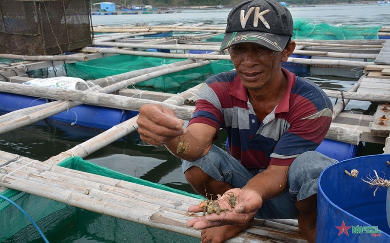 Nuôi biển - không đơn thuần là nuôi tôm, nuôi cá