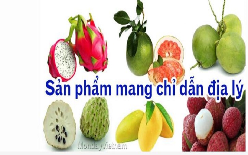 Phân biệt “tên gọi xuất xứ”, “chỉ dẫn địa lý” với “xuất xứ hàng hóa”