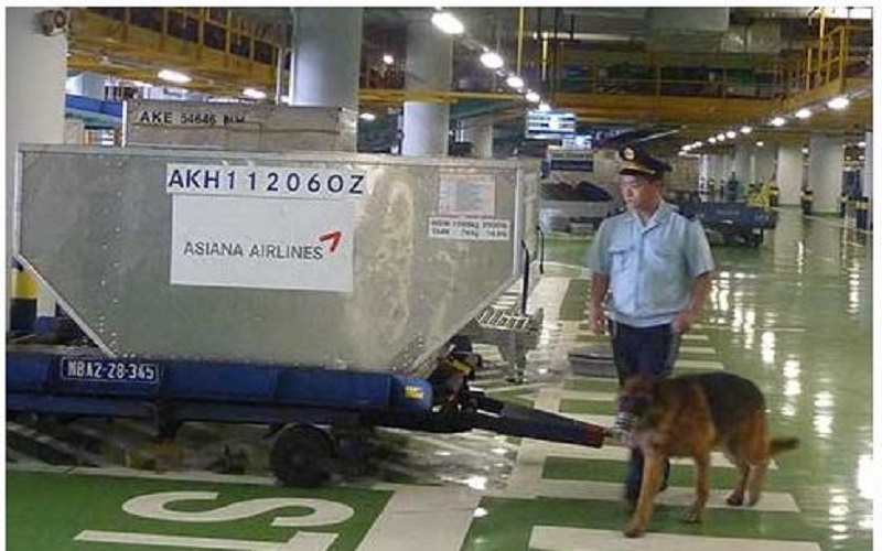Ngành Hải quan cao điểm kiểm tra, giám sát nhằm ngăn chặn, xử lý kịp thời các vụ việc mua bán, vận chuyển trái phép chất ma túy, tiền chất