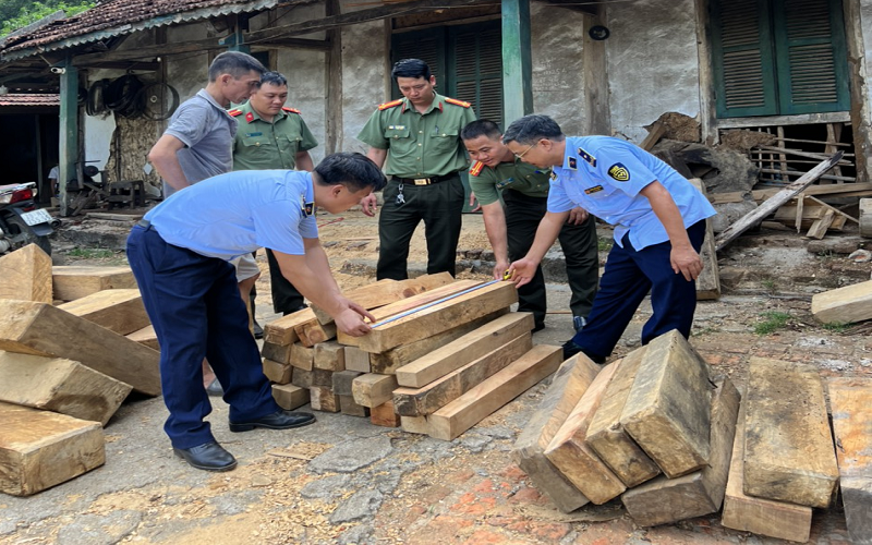 Yên Bái: Kiểm tra việc tàng trữ lâm sản tại địa bàn thị xã Nghĩa Lộ