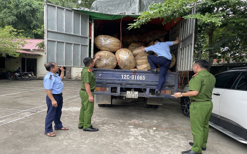 Lạng Sơn: Xử phạt hành chính 25 triệu đồng với cá nhân thu mua nguyên liệu lá thuốc lá không có giấy phép