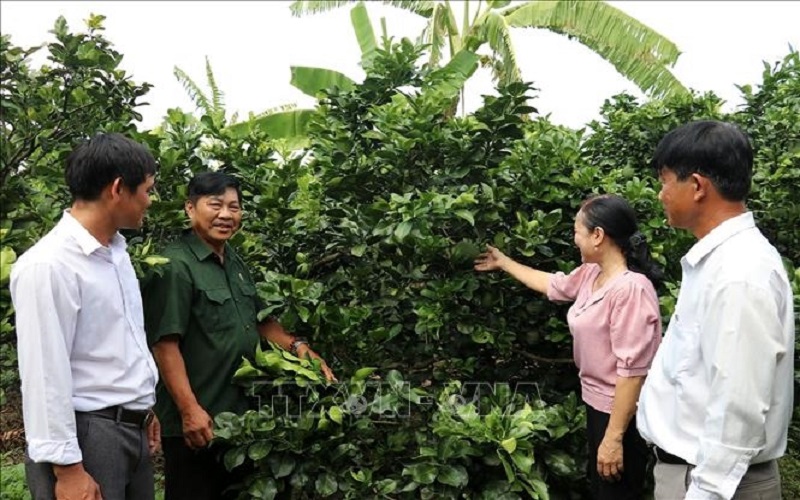 Kiến nghị bổ sung chế độ đối với người có công đã phục viên, xuất ngũ gặp khó khăn