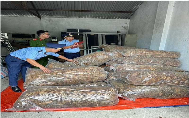 Cao Bằng: Thu giữ 550 kg nguyên liệu thuốc lá không rõ nguồn gốc xuất xứ