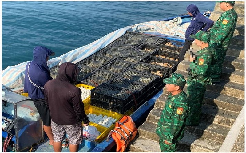 Bộ đội Biên phòng tỉnh Quảng Ninh: Phát hiện phương tiện vận chuyển 15.000 con gà giống và 5.000 quả trứng gia cầm không rõ nguồn gốc