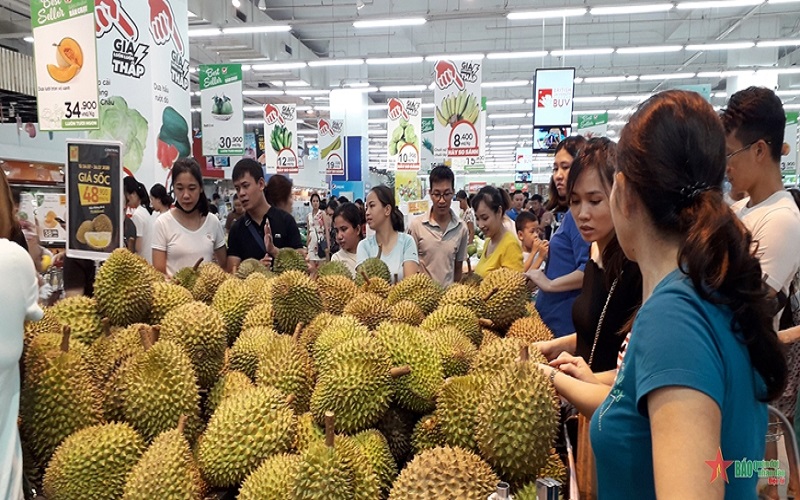 Tìm giải pháp phát triển hiệu quả, bền vững ngành hàng sầu riêng