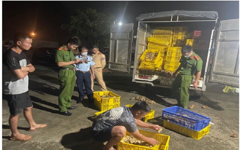 Lạng Sơn: Kịp thời ngăn chặn phương tiện vận chuyển hàng chục nghìn con gia cầm giống không rõ nguồn gốc xuất xứ