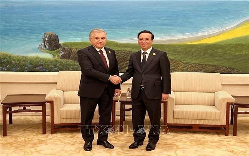 Chủ tịch nước Võ Văn Thưởng gặp Tổng thống Uzbekistan