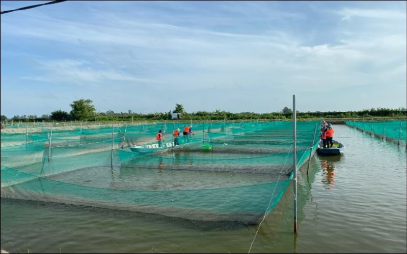 Nông nghiệp vùng Đồng bằng sông Cửu Long: Vì sao doanh nghiệp chưa “mặn mà” đầu tư?