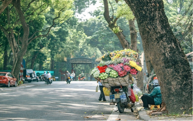 Thời tiết hôm nay (10-11): Bắc Bộ nắng ráo, Nam Bộ mưa dông rải rác