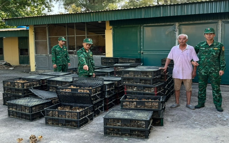 Thủ tướng Chính phủ yêu cầu tổ chức ngăn chặn nhập lậu, vận chuyển trái phép động vật, sản phẩm động vật