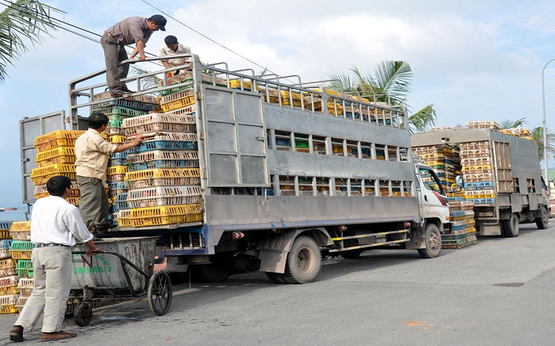 Ngăn chặn nhập lậu, vận chuyển trái phép động vật, sản phẩm động vật