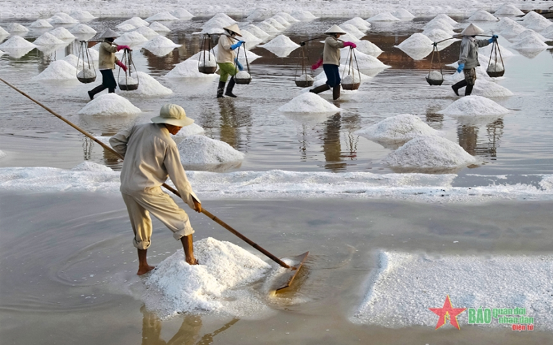 Nghề làm muối Tuyết Diêm