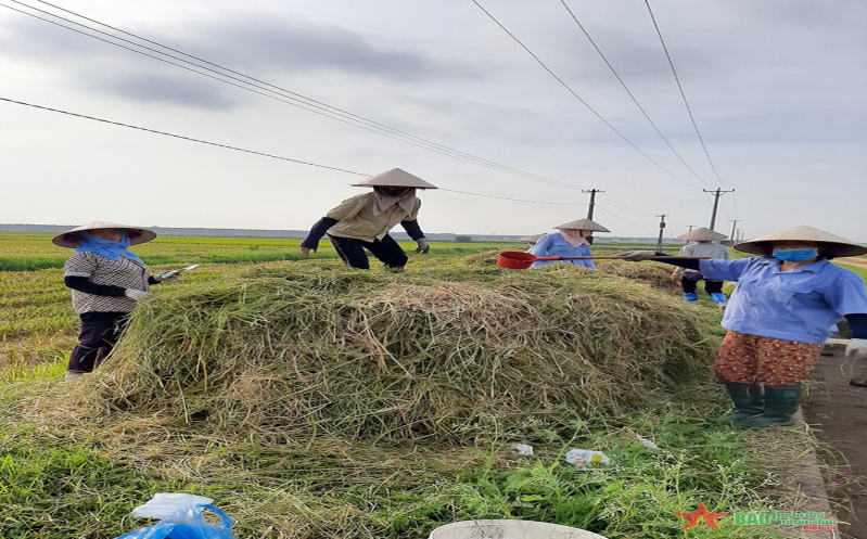 Thúc đẩy kinh tế nông nghiệp xanh