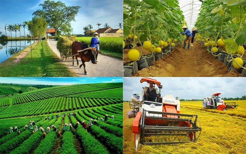 Tạo môi trường thuận lợi phát triển sản xuất công nghiệp nông thôn