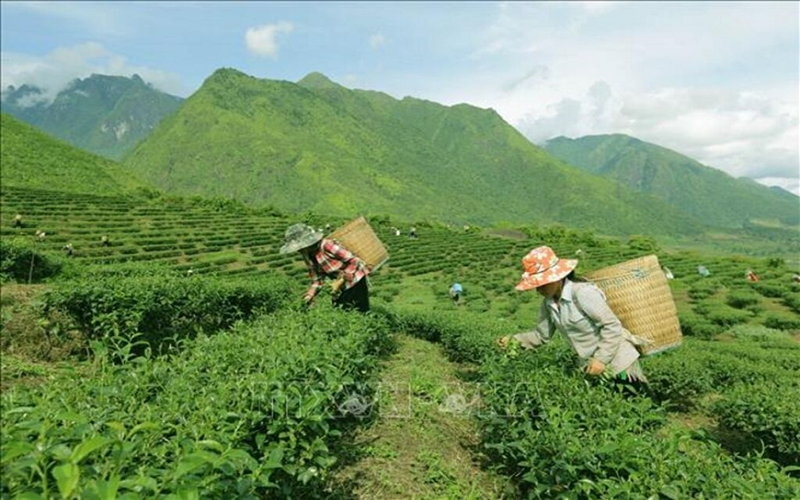 Nghị quyết về một số cơ chế, chính sách đặc thù thực hiện các chương trình mục tiêu quốc gia