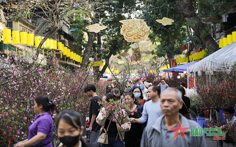 Chợ hoa Hà Nội rực rỡ sắc xuân