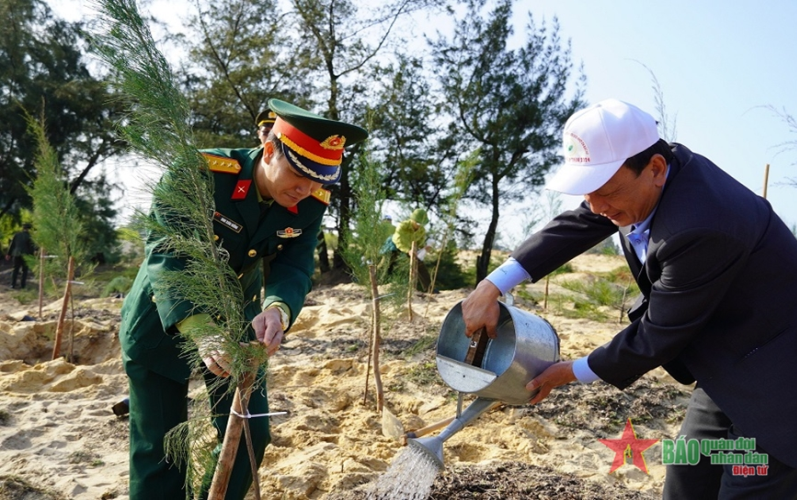 Tỉnh Quảng Bình trồng khoảng 9.000ha rừng tập trung trong năm 2024