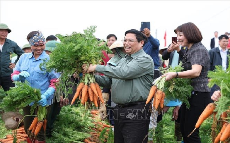 Thủ tướng Phạm Minh Chính xuống đồng cùng nông dân tỉnh Hải Dương