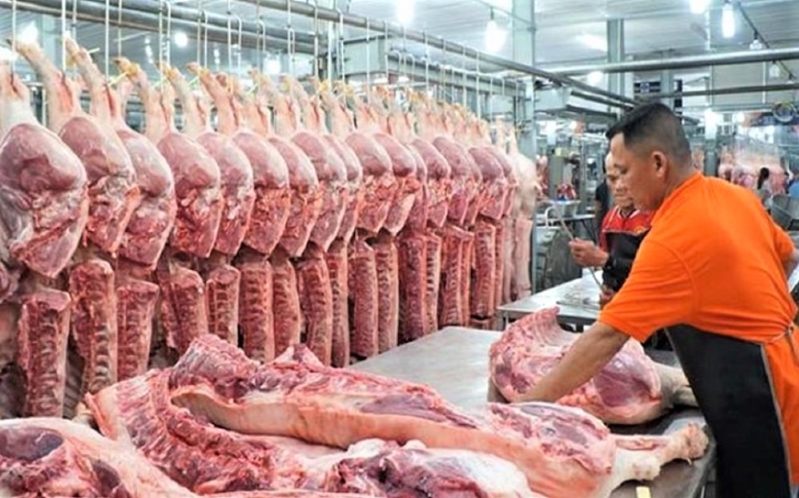 Giá lợn hơi hôm nay (19-2): Thấp nhất 52.000 đồng/kg