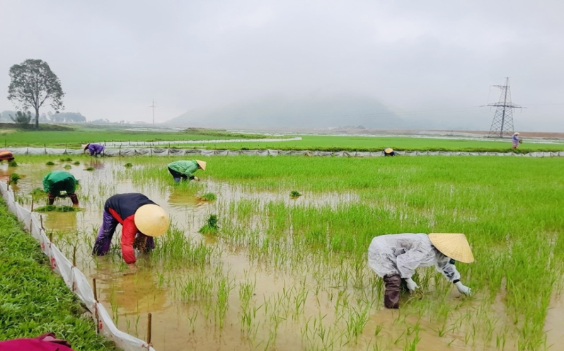 DIỄN ĐÀN LỜI HỨA VỚI HẬU PHƯƠNG: Phụ nữ Hưng Yên Nam tiếp sức thanh niên lên đường nhập ngũ