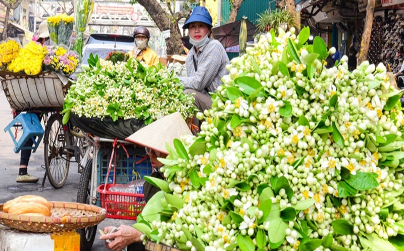 Trong nồng nàn hương bưởi...