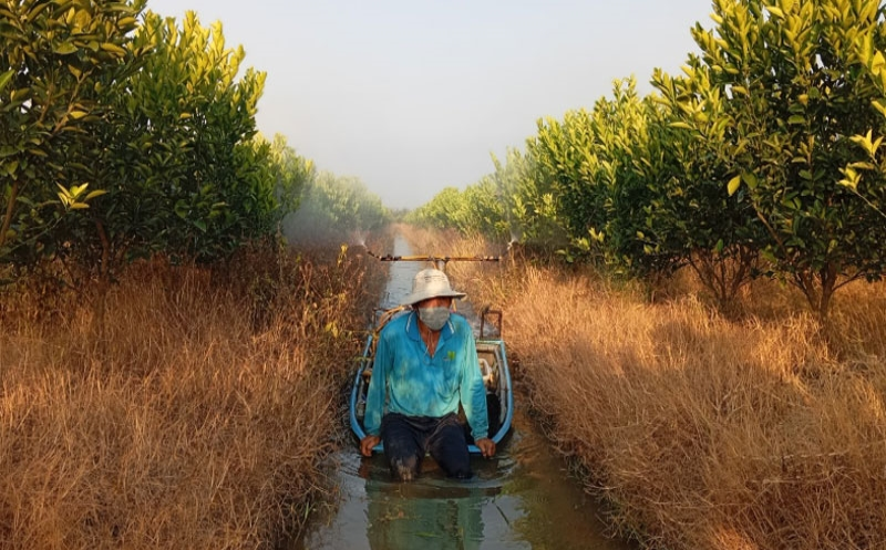 Đồng bằng sông Cửu Long kịp thời ứng phó với hạn, mặn