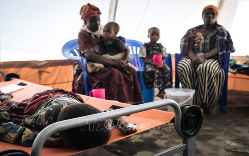 Tổ chức Y tế Thế giới triển khai chiến dịch xét nghiệm bệnh tả quy mô lớn trên toàn cầu