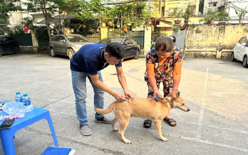 Chủ động khống chế, không để dịch bùng phát