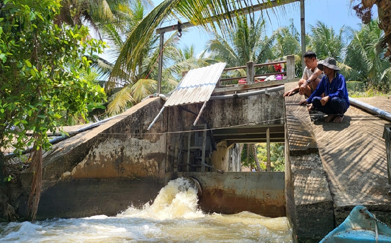 Đồng bằng sông Cửu Long - Phát huy hiệu quả công trình thủy lợi ngăn mặn