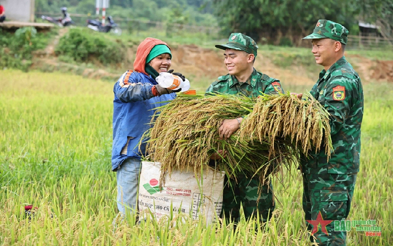 Đồn Biên phòng Hướng Lập giúp đồng bào Vân Kiều thu hoạch lúa