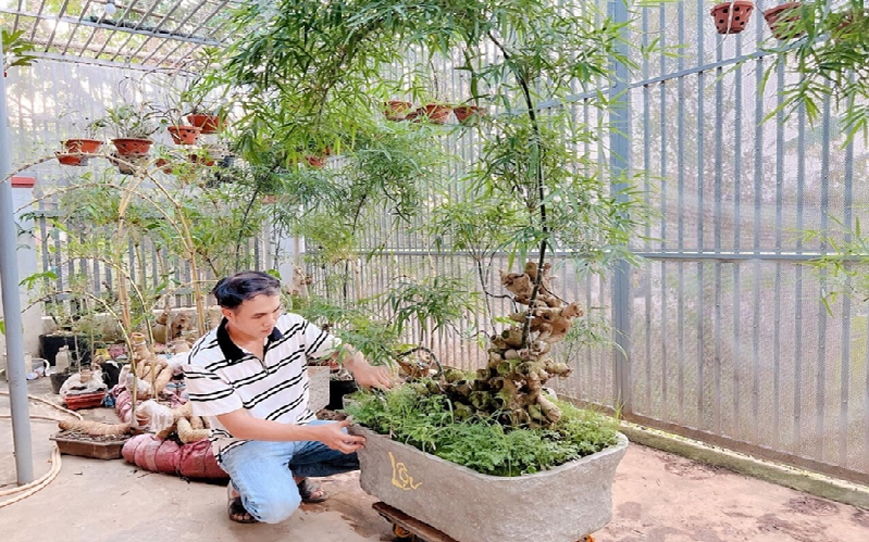 "Thổi hồn" vào những thân tre