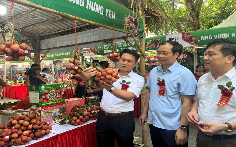 Vải trứng Hưng Yên giá cao nhưng vẫn đắt hàng