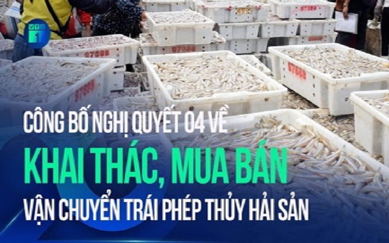 Truy cứu trách nhiệm hình sự đối với hành vi liên quan đến khai thác, mua bán, vận chuyển trái phép thủy sản