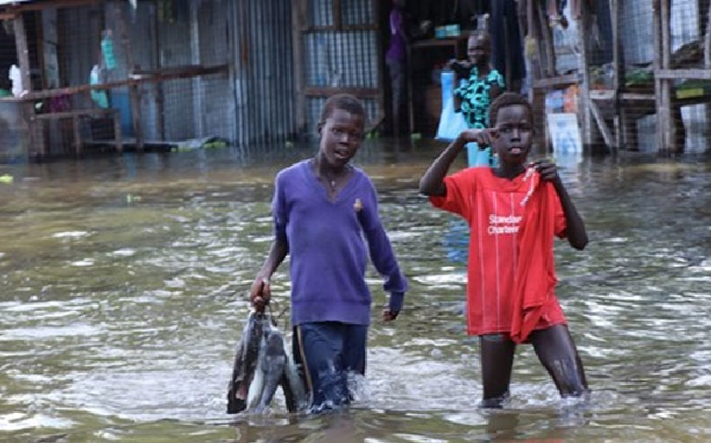 Gần 140 người thương vong do mưa lớn và lũ lụt ở Sudan