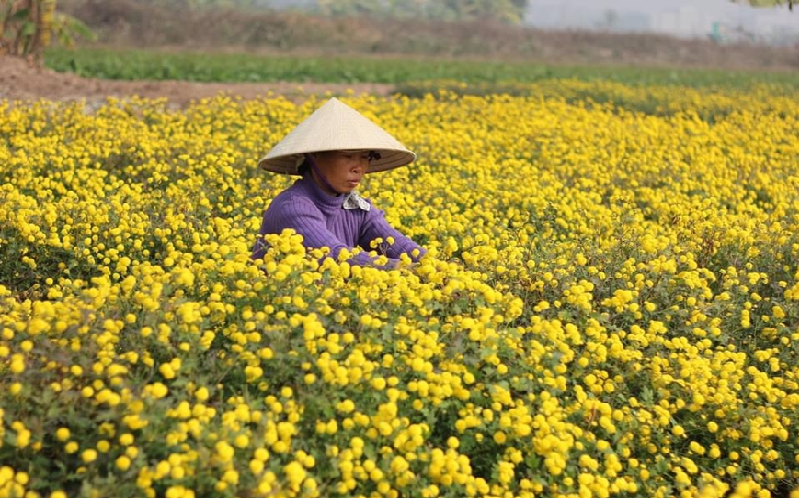 Sản xuất dựa vào tự nhiên: Thuận thiên sẽ thuận lợi