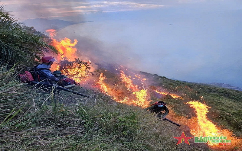 Hà Tĩnh: Hàng trăm người chữa cháy rừng trong đêm