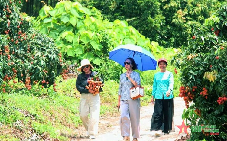 Huyện Lục Ngạn (Bắc Giang): Tập trung phát triển ngành du lịch bền vững