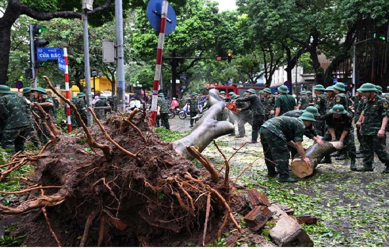 Khi bão lớn quét qua Thủ đô