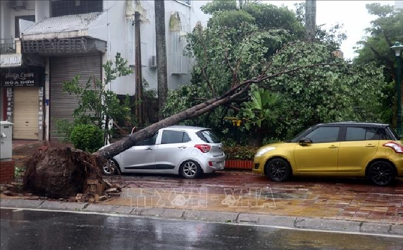 Bão số 3, mưa lũ, sạt lở đất làm hàng trăm người chết, mất tích, bị thương