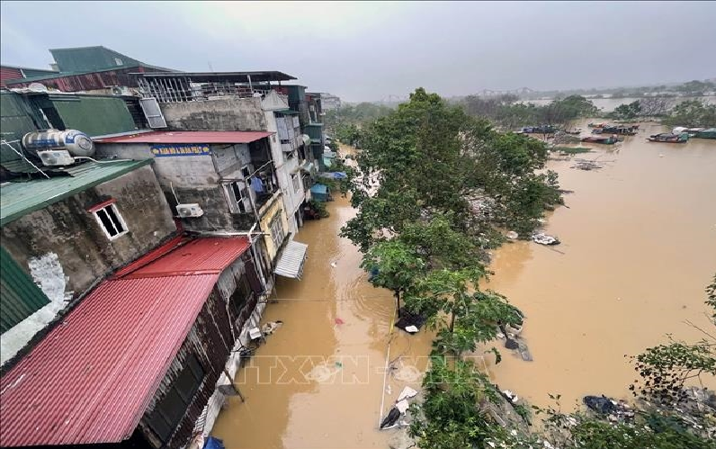 Khẩn trương chống lũ tại các xã ven sông Tích, sông Đáy ở huyện Quốc Oai (Hà Nội)