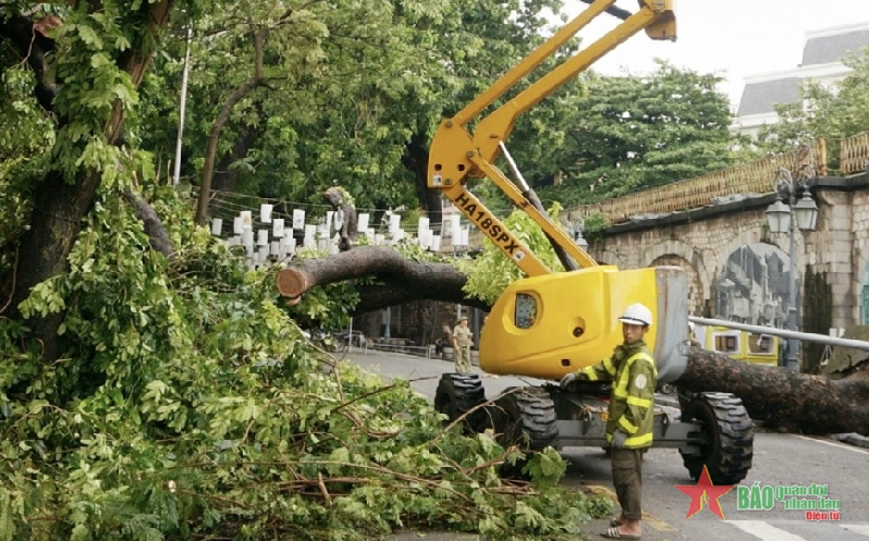 Công nhân cây xanh Hà Nội làm việc 24/24 giải tỏa cây đổ