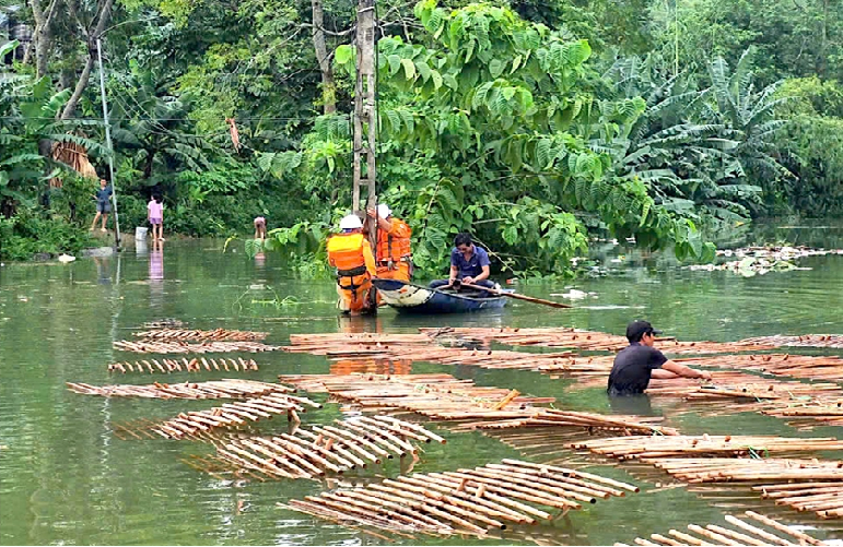 Dồn sức sửa lưới điện