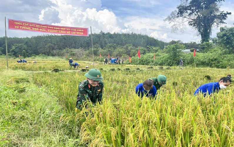 Ia Đal đổi thay từ bàn tay Bộ đội Cụ Hồ